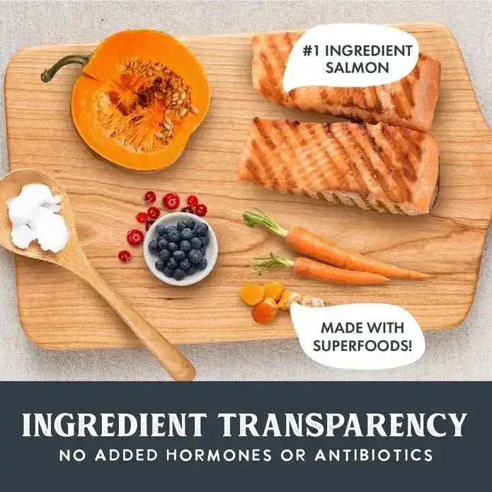 Health Extension Gently Air Dried Salmon Recipe Dog Food 2lb - Talis Us