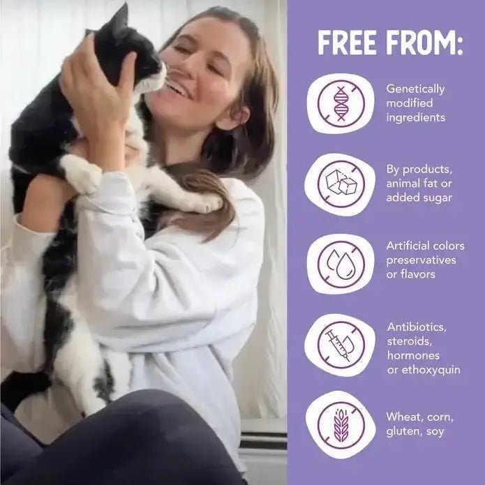 Health Extension Grain - Free Chicken & Salmon Recipe Canned Cat Food 24 / 2.8 oz - Talis Us