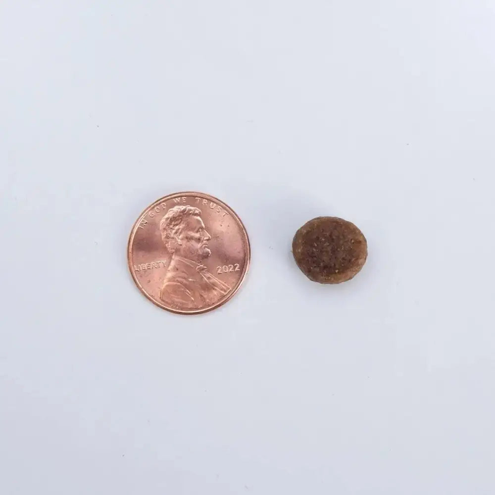 Health Extension Grain Free Duck Dry Dog Food - Talis Us