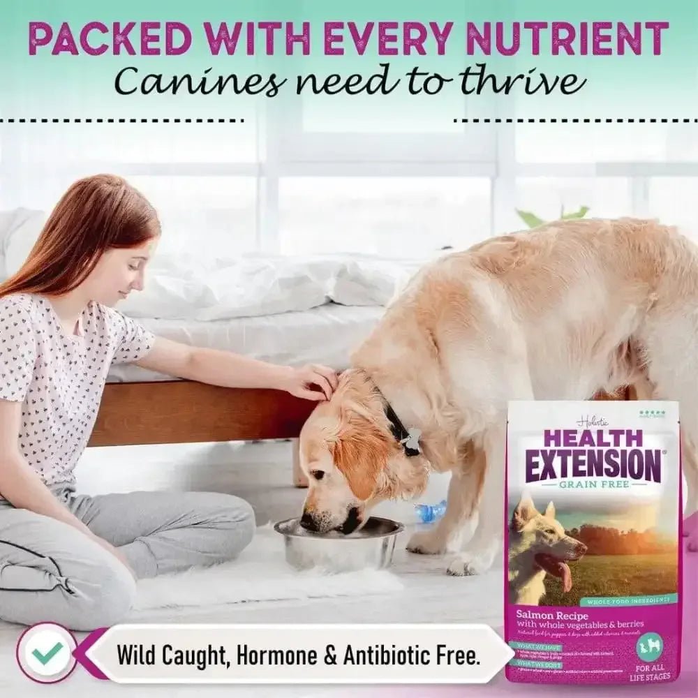 Health Extension Grain Free Salmon Dry Dog Food - Talis Us