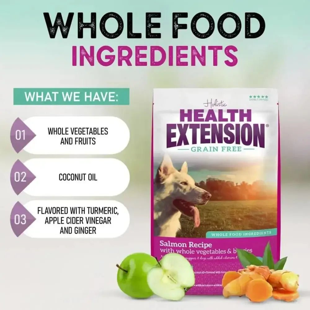 Health Extension Grain Free Salmon Dry Dog Food - Talis Us