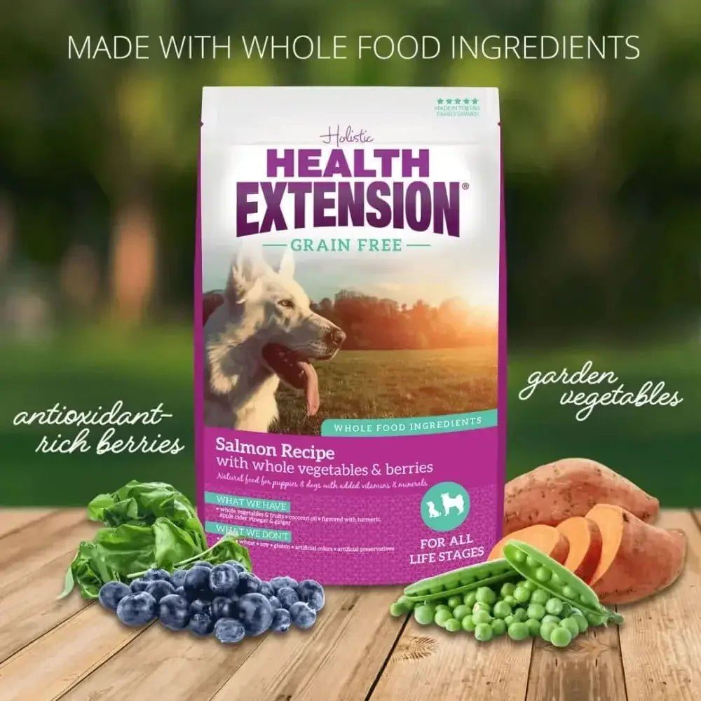 Health Extension Grain Free Salmon Dry Dog Food - Talis Us
