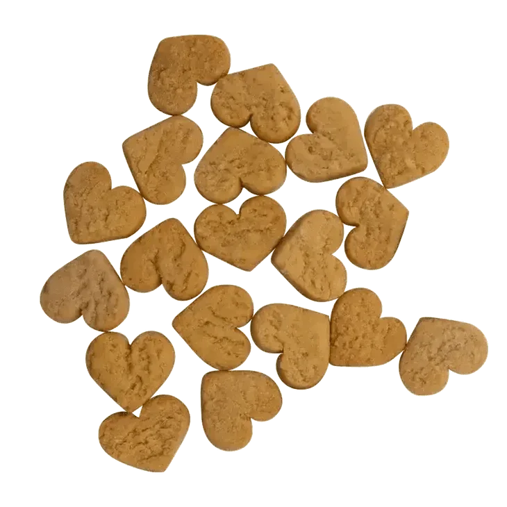 Health Extension Impawfect Pumpkin & Ginger Soft & Chewy DogTreats for Digestive Support 4.5oz - Talis Us