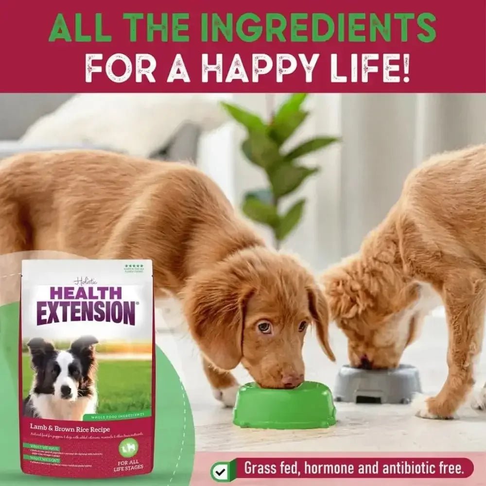 Health Extension Lamb & Brown Rice Dry Dog Food - Talis Us