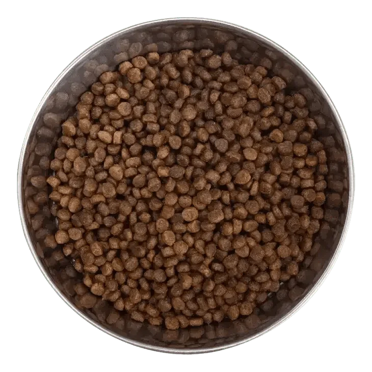 Health Extension Little Bites Lite Chicken & Brown Rice Recipe Dry Dog Food - Talis Us
