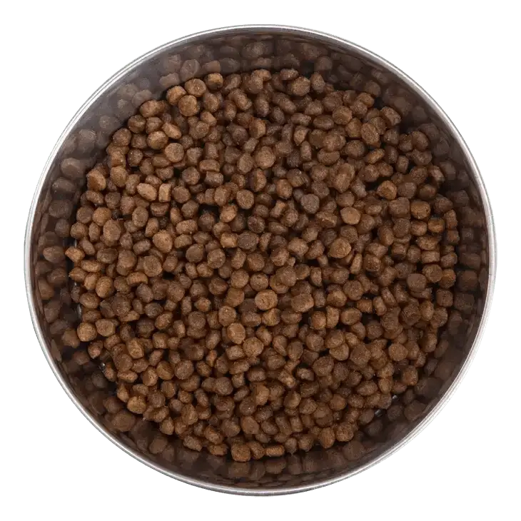 Health Extension Little Bites Lite Chicken & Brown Rice Recipe Dry Dog Food - Talis Us