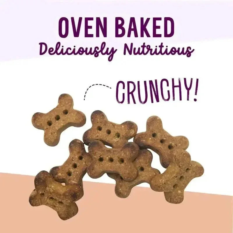 Health Extension Oven Baked Peanut Butter Banana Dog Treats 2.25lb - Talis Us