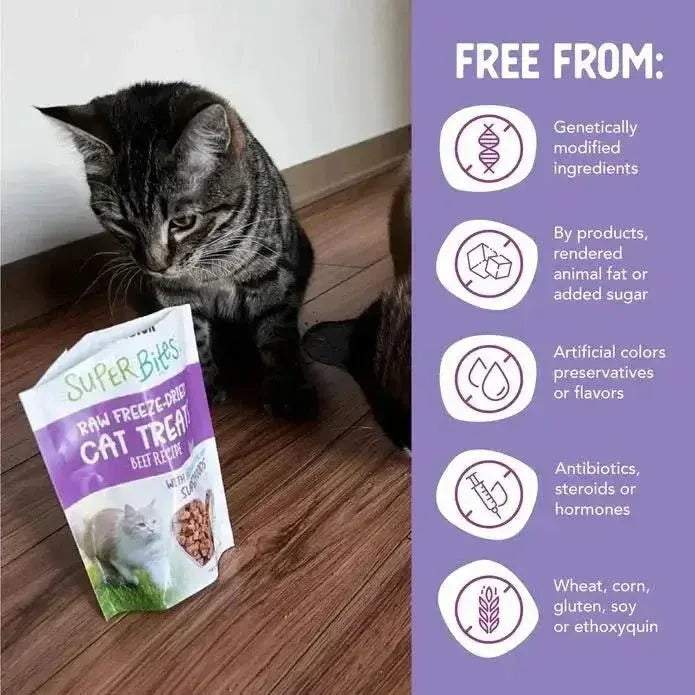 Health Extension Super Bites Beef Freeze - Dried Cat Treats 0.75oz - Talis Us