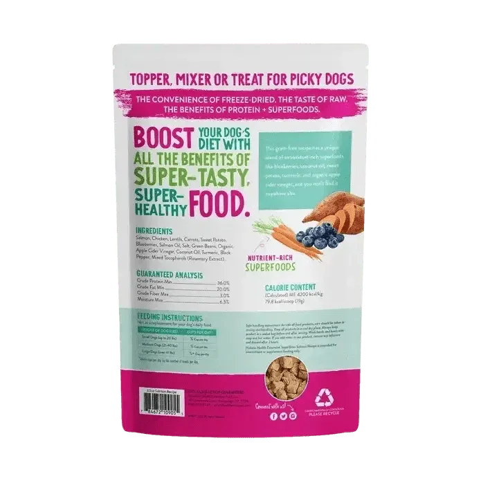 Health Extension Superbites Freeze Dried Raw Salmon Dog Food Mixer - Talis Us