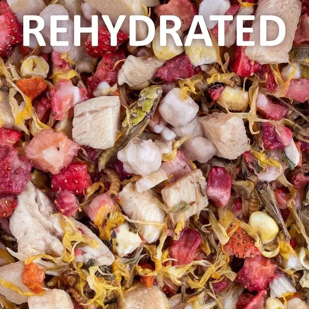 Healthy Herp Box Turtle Food Instant Meal - Talis Us