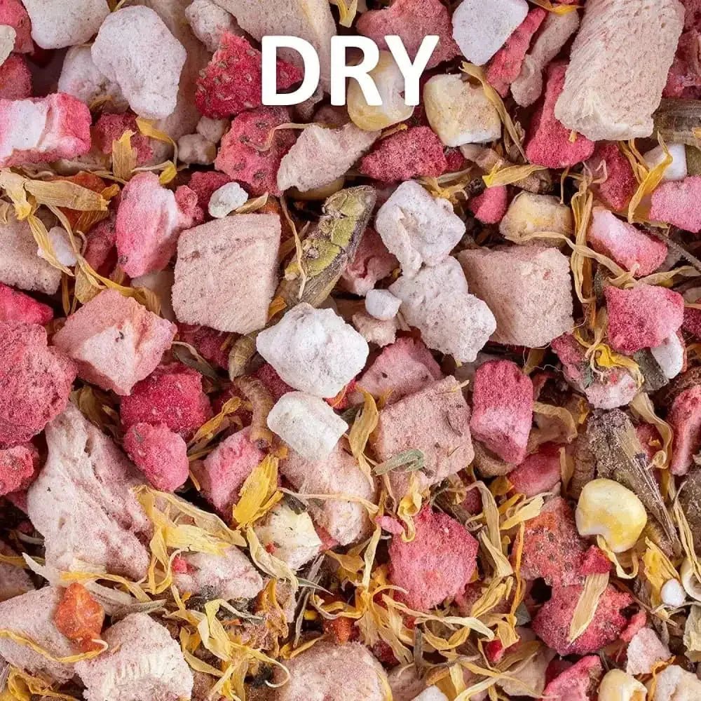 Healthy Herp Box Turtle Food Instant Meal - Talis Us