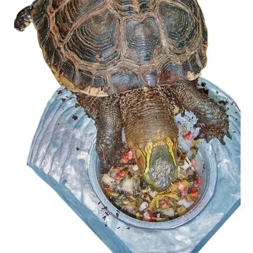 Healthy Herp Box Turtle Food Instant Meal - Talis Us