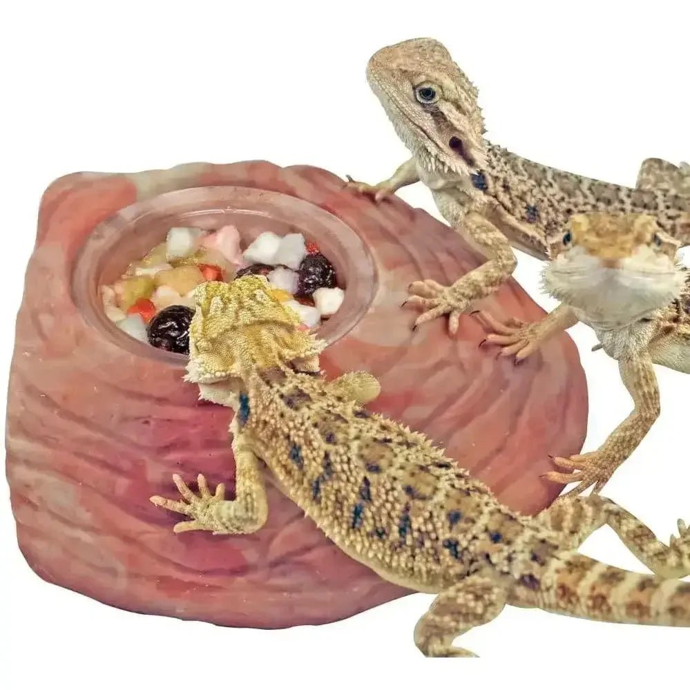 Healthy Herp Juvenile Dragon Food Instant Meal 3.88 Oz - Talis Us