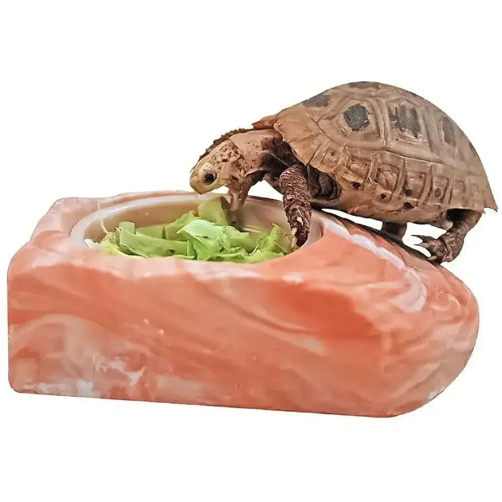 Healthy Herp Stepping Stone Feeding Dish - LG - Talis Us
