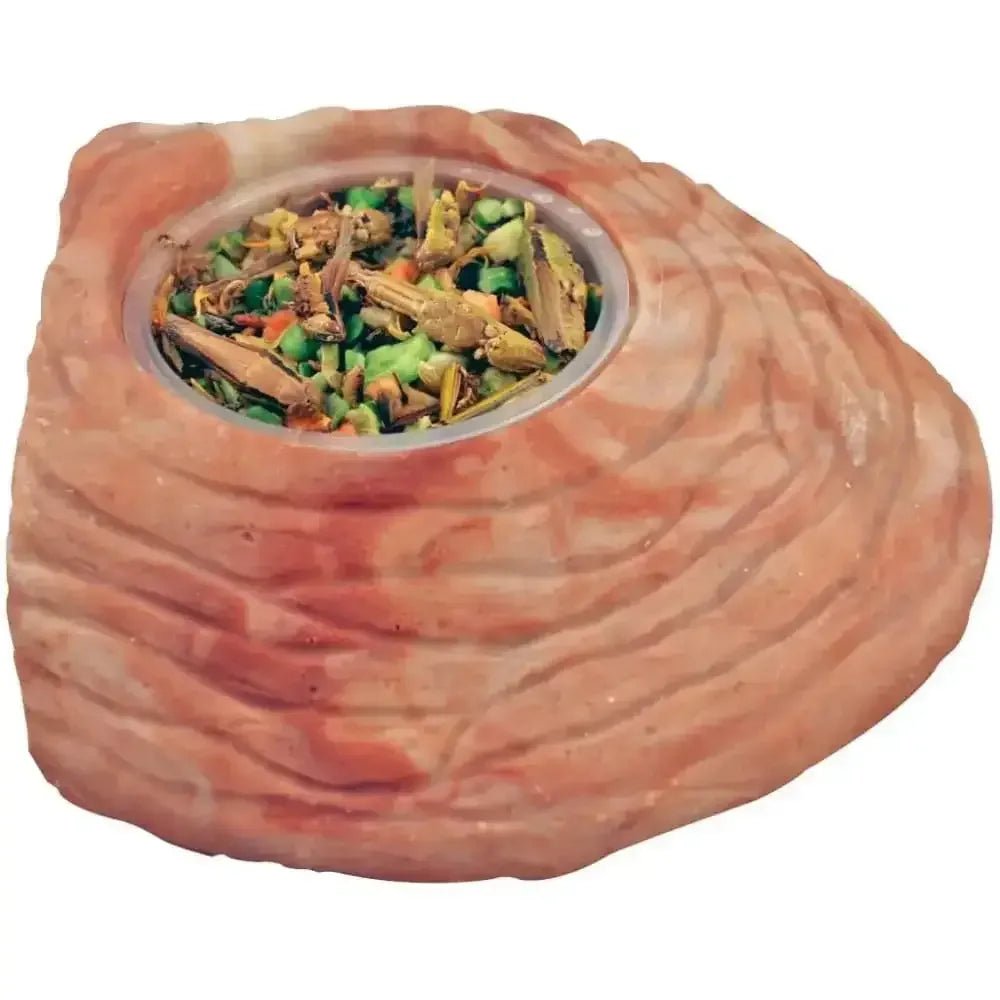 Healthy Herp Stepping Stone Feeding Dish - LG - Talis Us