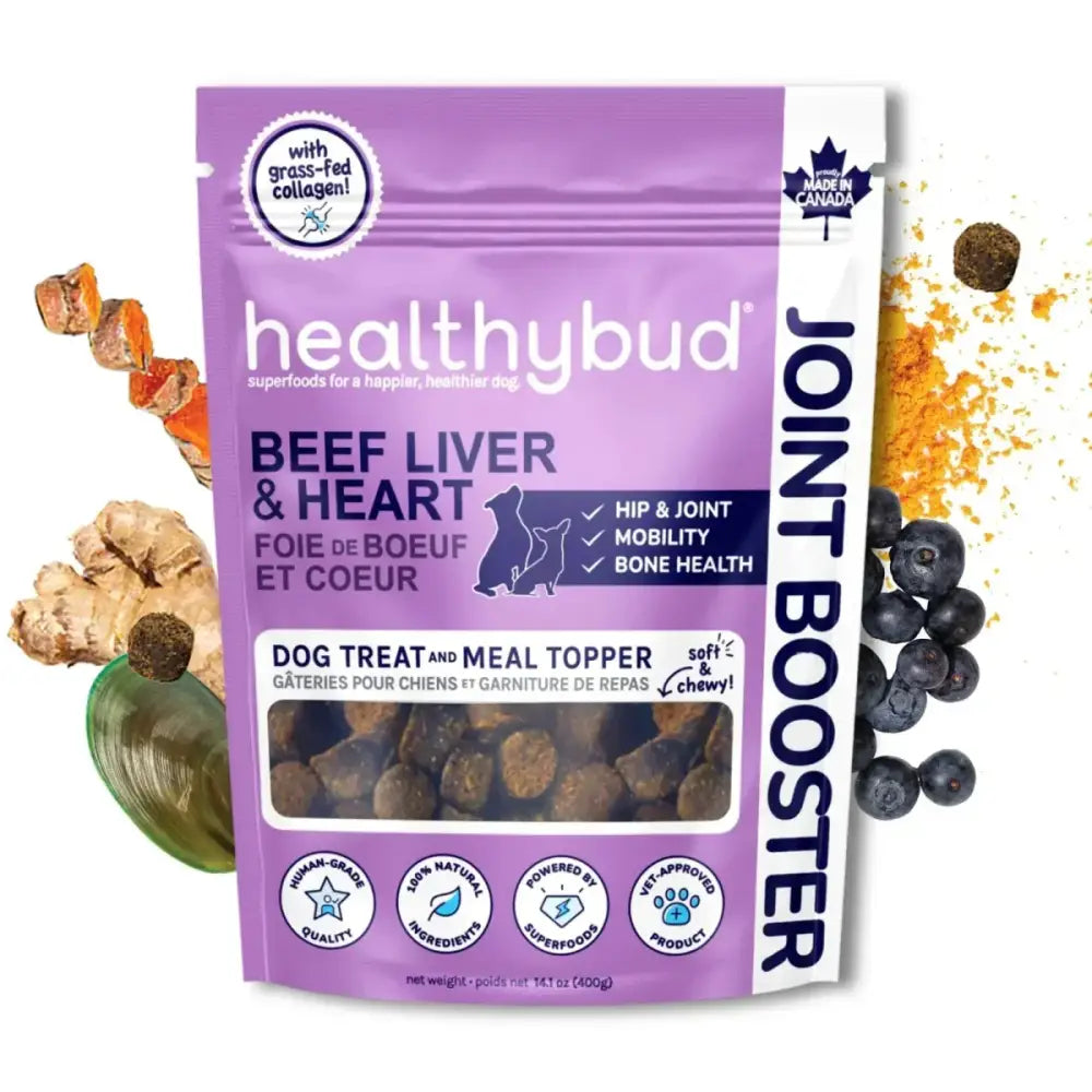 Healthybud Beef Joint Booster Soft Dog Treats for Senior Dogs - Talis Us