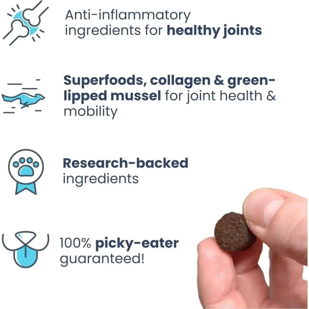 Healthybud Beef Joint Booster Soft Dog Treats for Senior Dogs - Talis Us