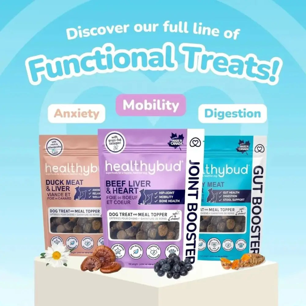 Healthybud Beef Joint Booster Soft Dog Treats for Senior Dogs - Talis Us