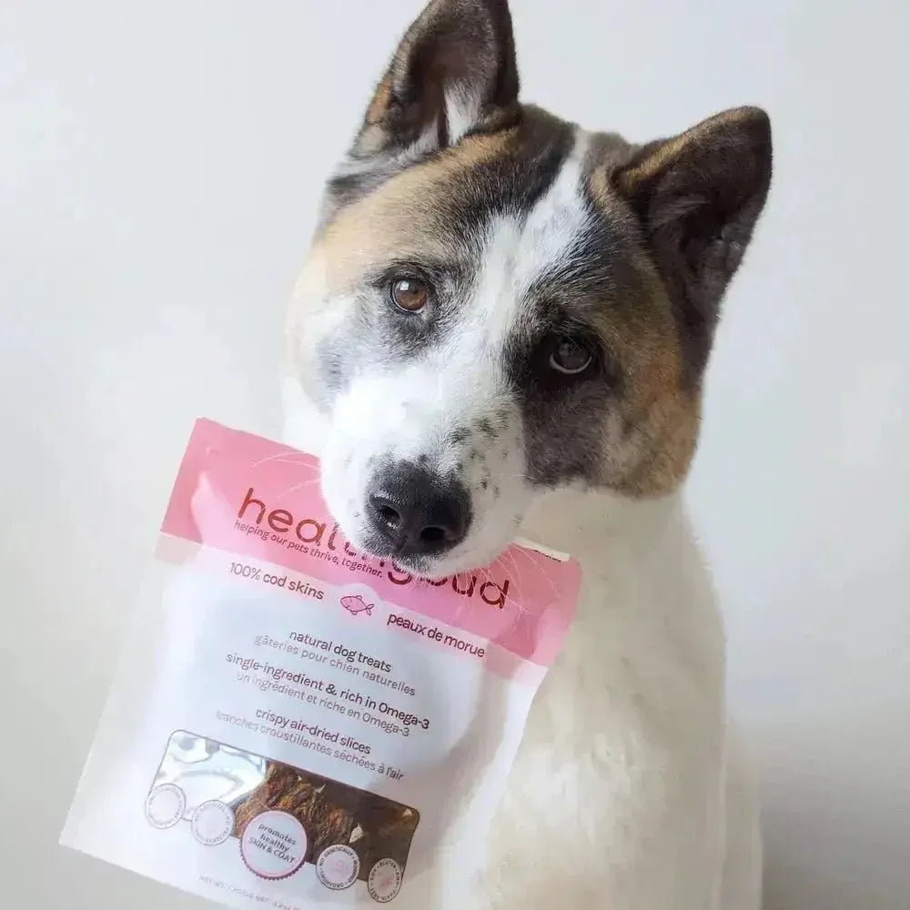 Healthybud Cod Skins Dehydrated Hypoallergenic Dog Treats 2.8oz - Talis Us