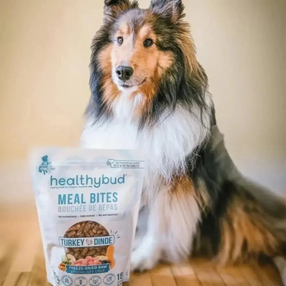 Healthybud Turkey Meal Bites Freeze - Dried Dog Food 14Oz - Talis Us