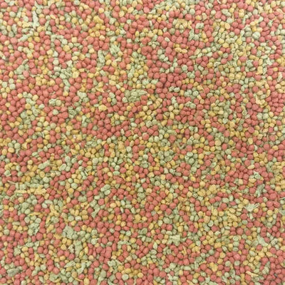 Higgins inTune Parakeet Food 2 Lbs Higgins