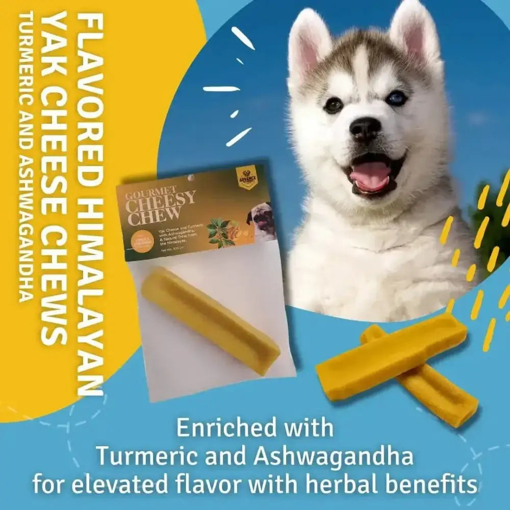 Himalayan Yak Cheesy Chews with Turmeric and Ashwagandha - All Natural, Gluten Free Dog Treats - Talis Us