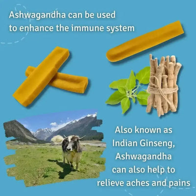 Himalayan Yak Cheesy Chews with Turmeric and Ashwagandha - All Natural, Gluten Free Dog Treats - Talis Us