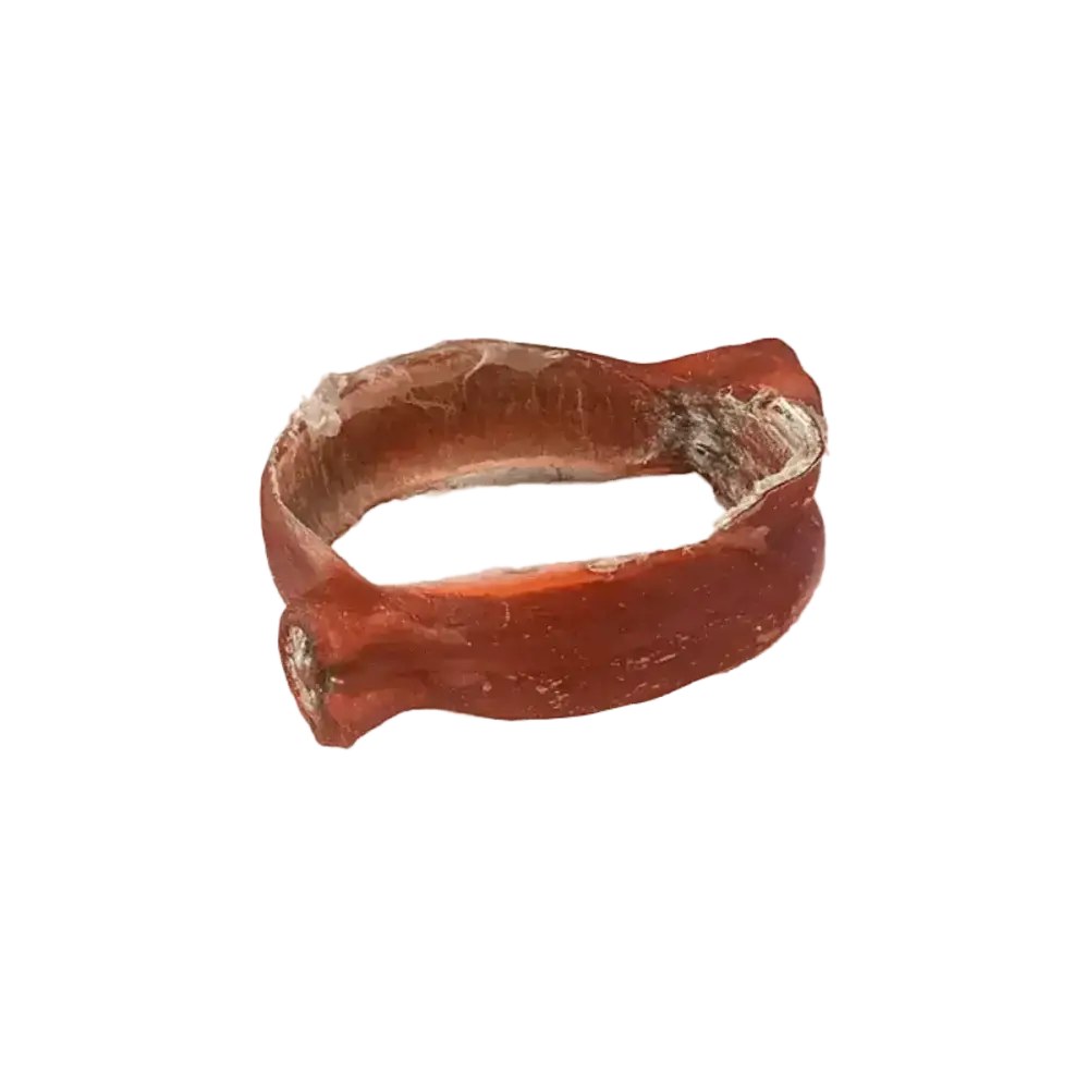 Ultimate Dog Treat Feast - Talis Us