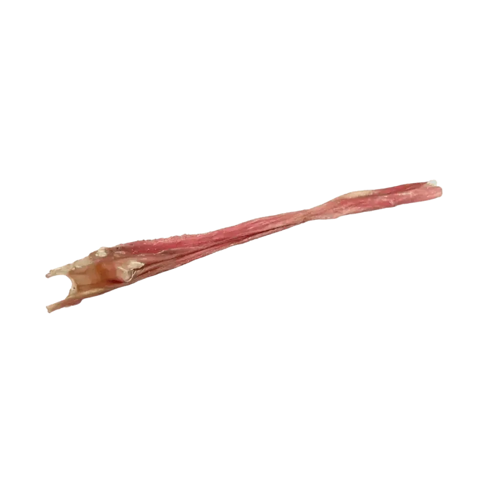 Home Range Fursbee Bladder Stick All Natural Dog Treat 12" 50cs - Talis Us