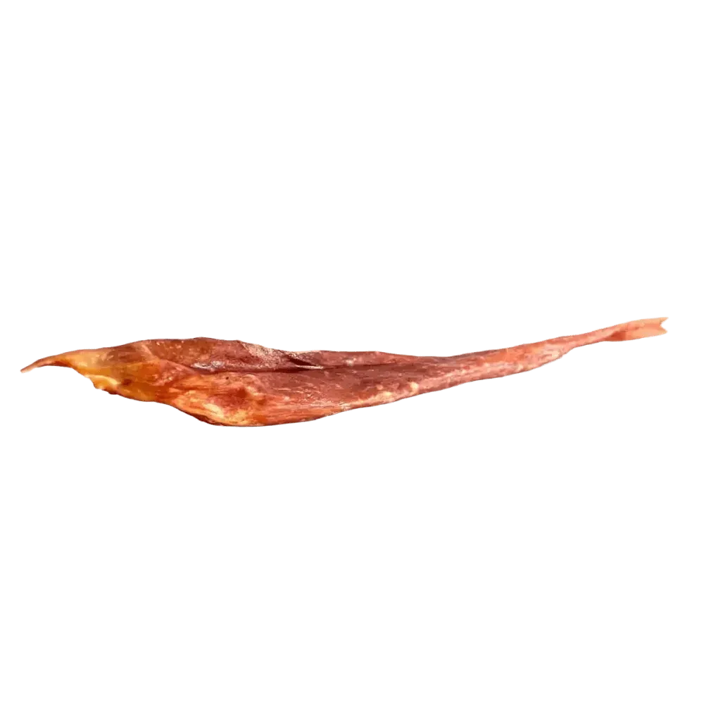 Home Range Grass Fed Beef FursBee Fetch Stick for Dogs 18 - 22" 25cs - Talis Us
