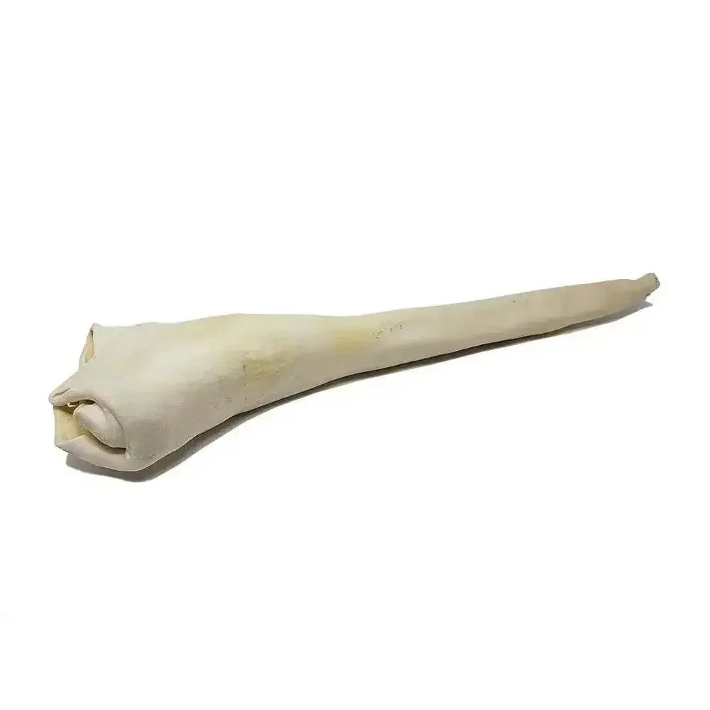 Home Range High - Protein Bull Tail for Dogs Chews - Talis Us