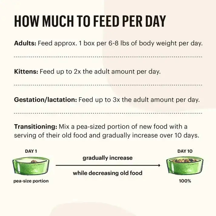 The Honest Kitchen Cate Grain Free Chicken Pate Wet Cat Food 12/5.5oz The Honest Kitchen