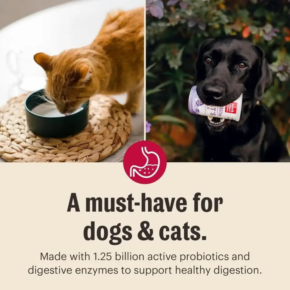 The Honest Kitchen Daily Boosters Instant Goat's Milk with Probiotics for Dogs - Talis Us