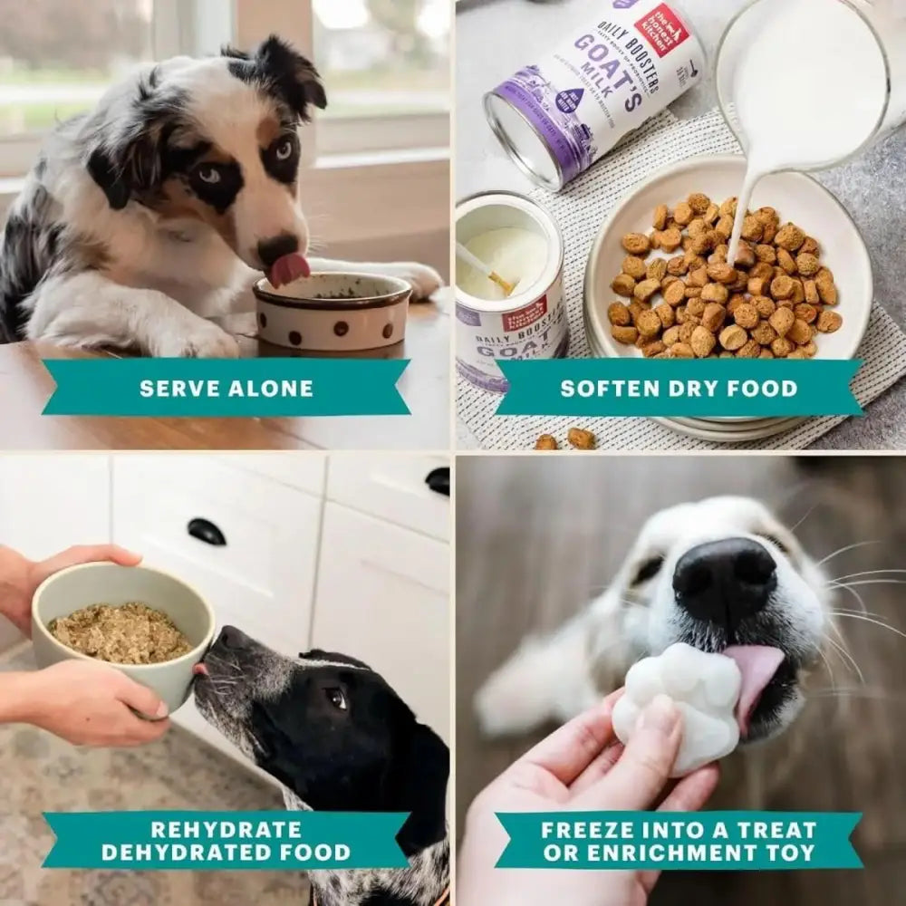 The Honest Kitchen Daily Boosters Instant Goat's Milk with Probiotics for Dogs - Talis Us