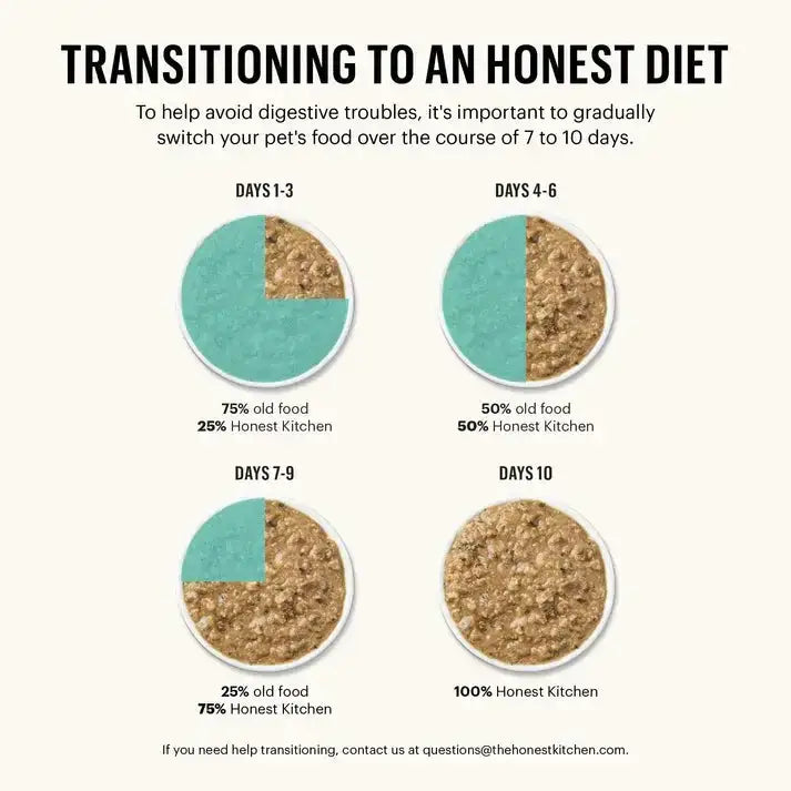 The Honest Kitchen One Pot Stews: Braised Beef & Lamb Stew with Green Beans & Sweet Potatoes Wet Dog Food  6/10.5oz The Honest Kitchen