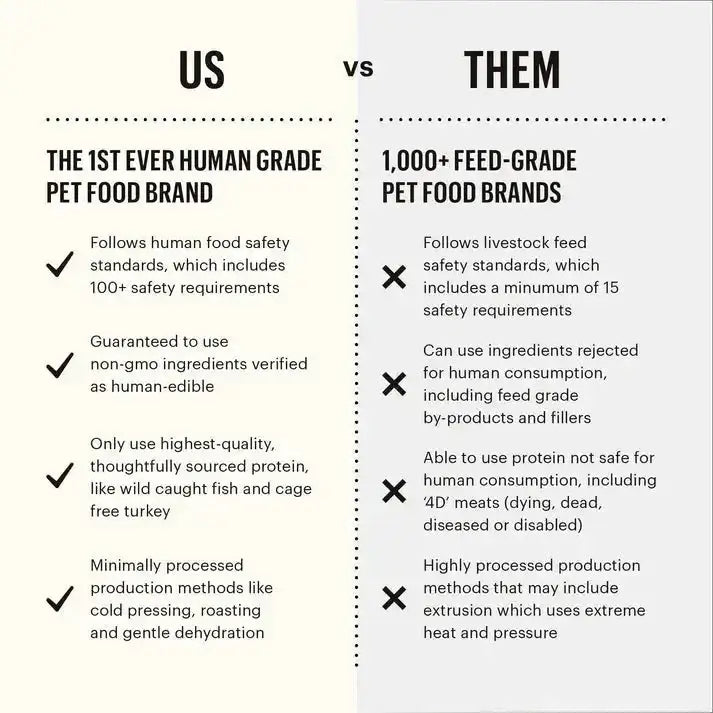 The Honest Kitchen Whole Food Clusters Grain Free Chicken Dry Dog Food - Talis Us