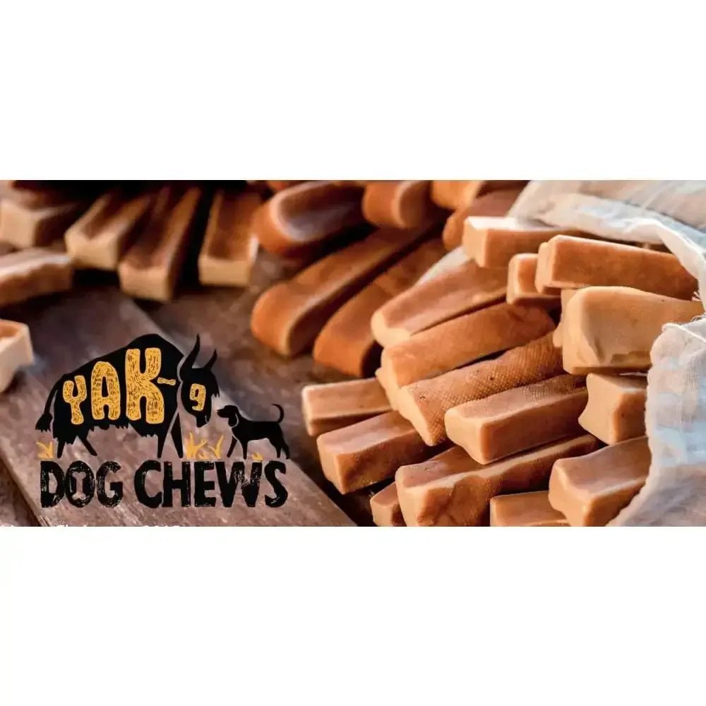 Honey Yak Milk Chews for Dogs Chew Dog Treat - Talis Us