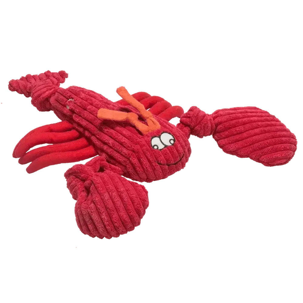 HuggleHounds Durable Plush Corduroy Knottie Squeaky Dog Toy - Talis Us