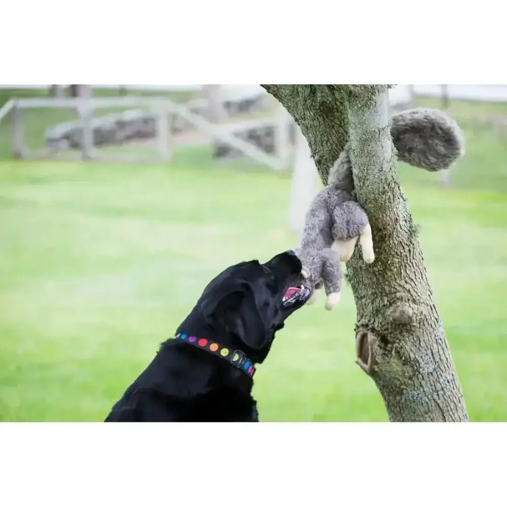HuggleHounds Feller Durable Plush Squirrel Squeaky Dog Toy - Talis Us