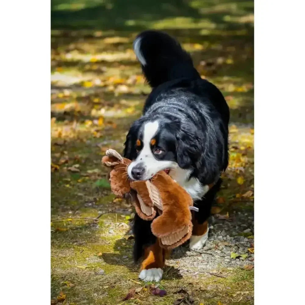 HuggleHounds Maple Moose X - Brace Tough Squeaky Plush Dog Toy - Talis Us
