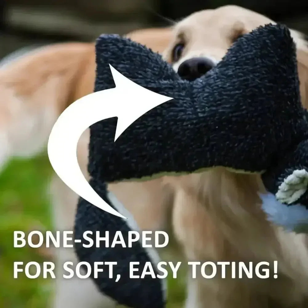 HuggleHounds Squooshies Durable Plush Squeaky Dog Toy - Talis Us