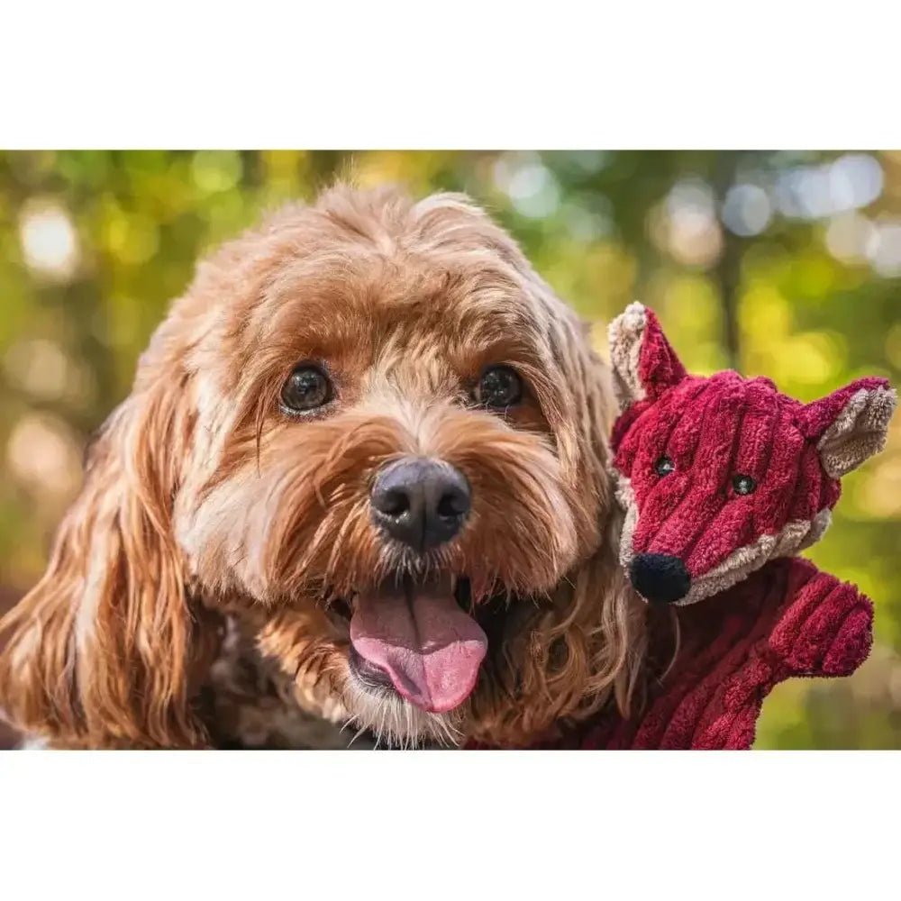 HuggleHounds Woodland HuggleFlatties Tough Squeaky Small Plush Dog Toys 3pk - Talis Us