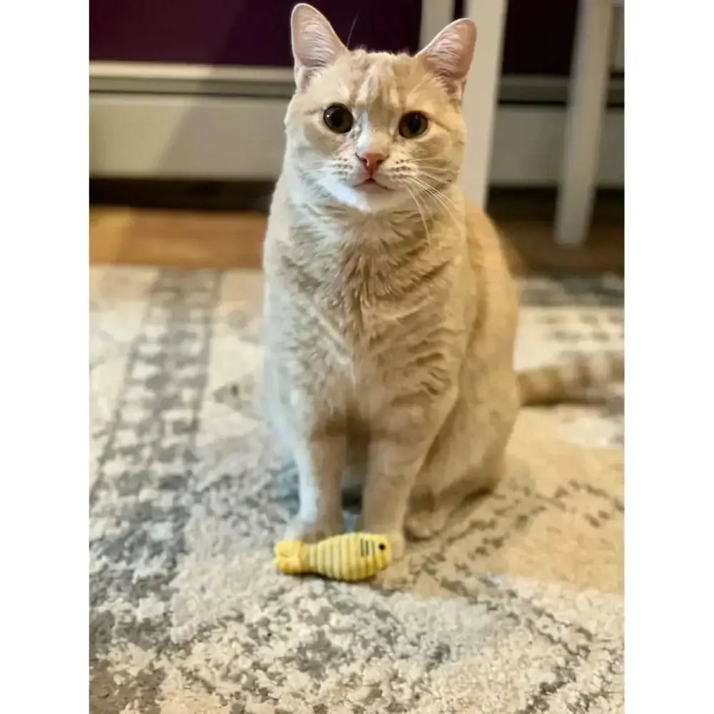 HuggleKats Multi - Textured Realistic Prey Toys for Cats - Talis Us