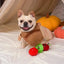 Hugsmart Pet Autumn Tailz Apple Basket Interactive Dog Toy - Talis Us