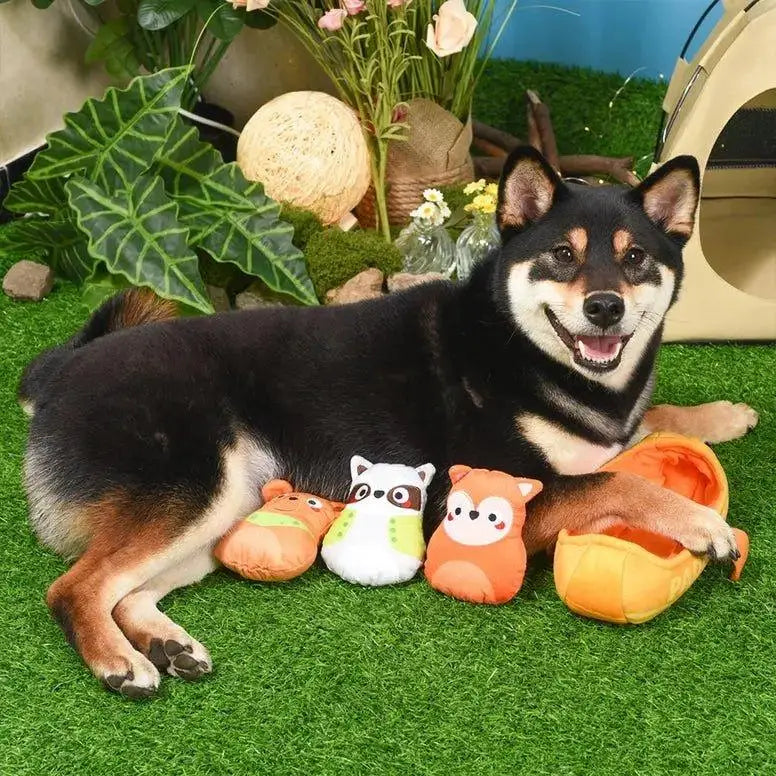 Hugsmart Pet Camping Pups Kayak Interactive Dog Toys - Talis Us