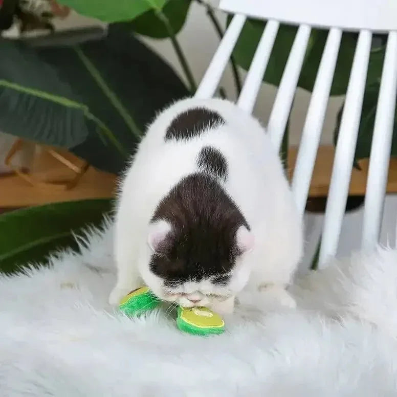 Hugsmart Pet Crazy Catcher Avocado Cat Toys - Talis Us
