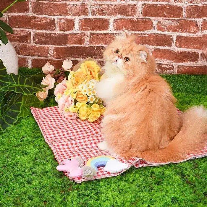 Hugsmart Pet Crazy Catcher Unicorn & Rainbow Cat Toys - Talis Us