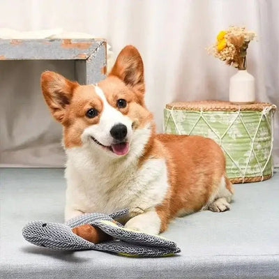 Hugsmart Pet Dinosaur Land Pterosaur Dog Plush Toy - Talis Us