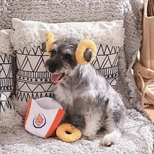 Hugsmart Pet Food Party Onion Ring Interactive Dog Toy - Talis Us