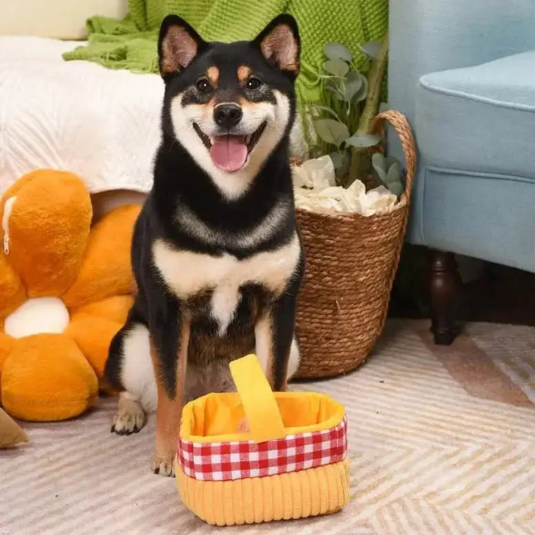 Hugsmart Pet Picnic Time Picnic Basket Interactive Toys for Dogs - Talis Us